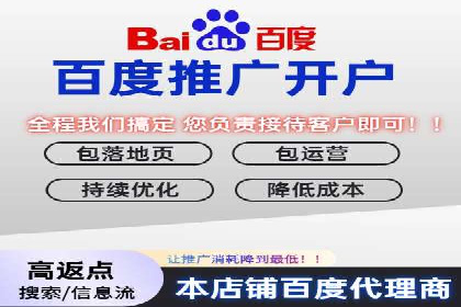 百度竞价公司成功案例：如何实现ROI最大化